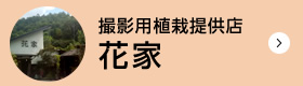 撮影用植栽提供店 花家